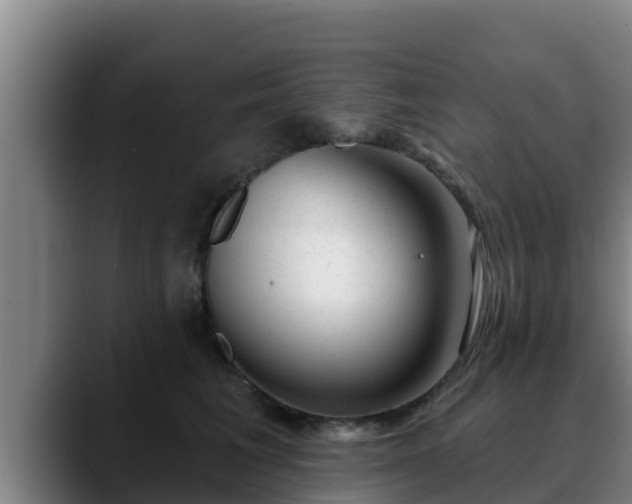 X0000090420613200707201119