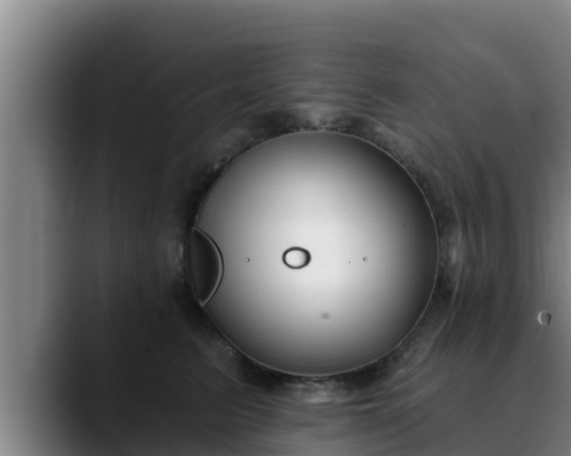 X0000090420615200707201119