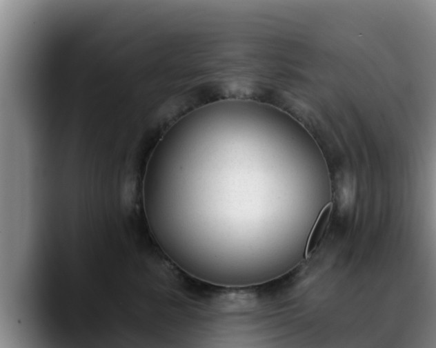 X0000090420619200707201119