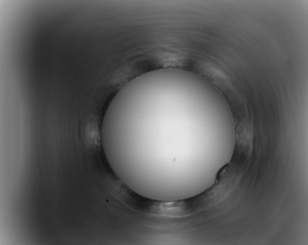 X0000090420622200707201119