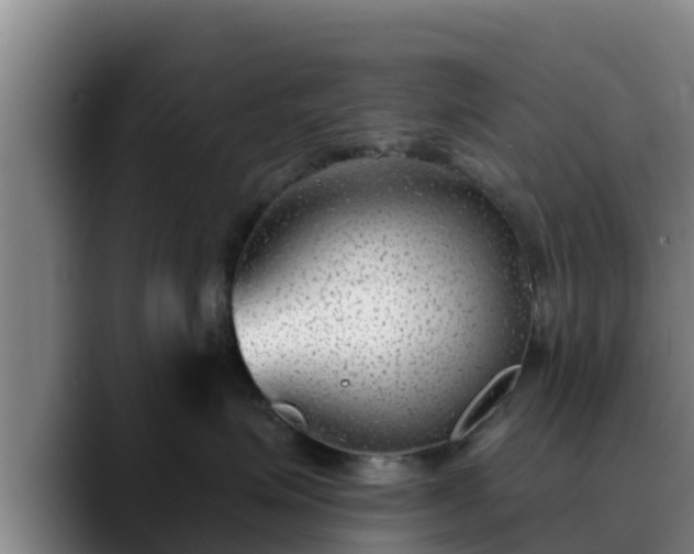 X0000090420623200707201119