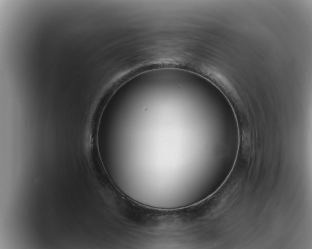 X0000090420628200707201119