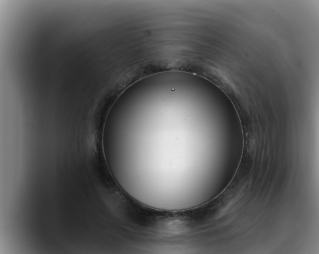 X0000090420643200707201119