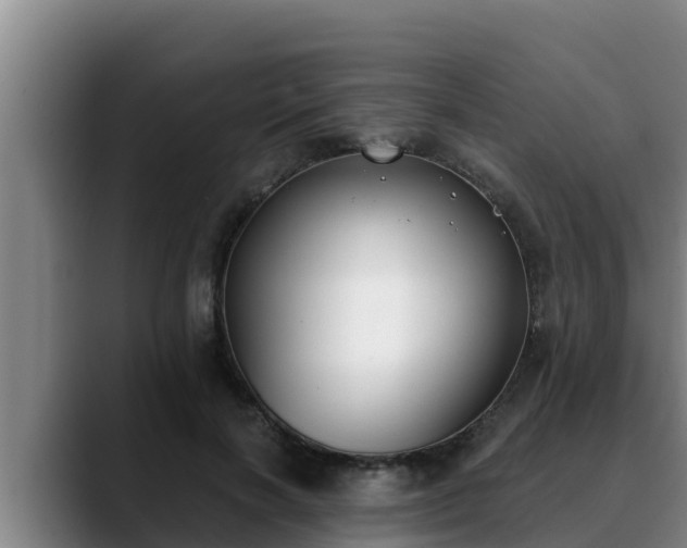 X0000090420646200707201119