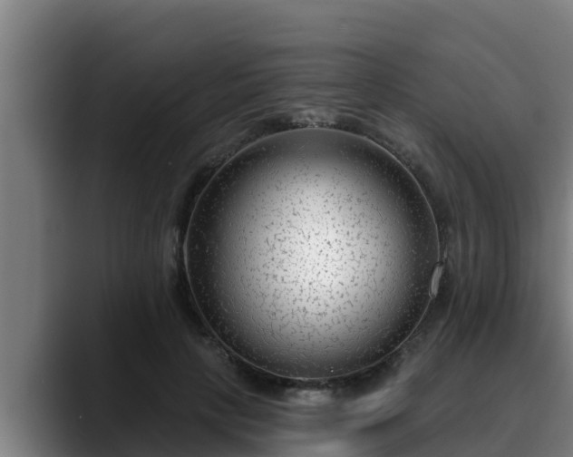 X0000090420649200707201119