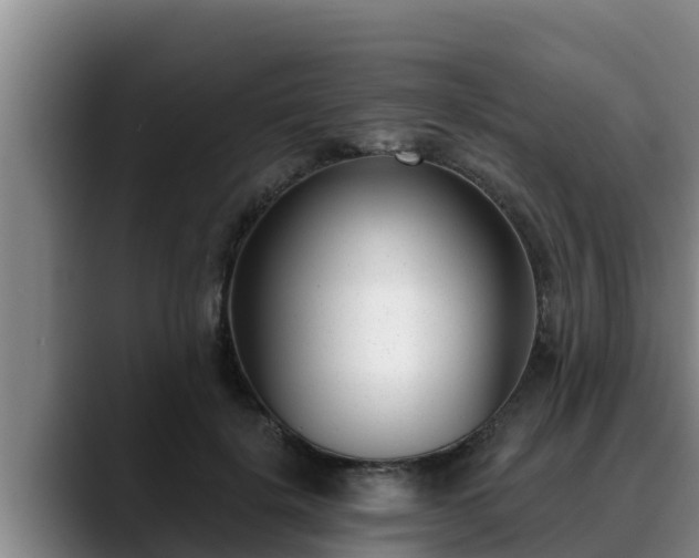 X0000090420652200707201119