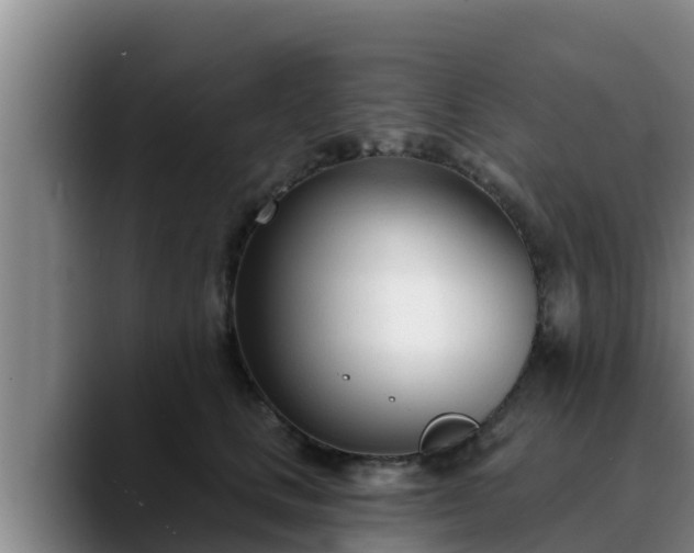 X0000090420661200707201119