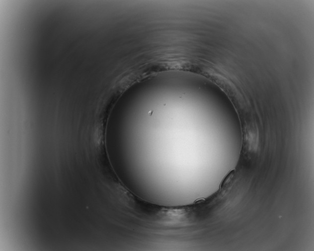 X0000090420665200707201119