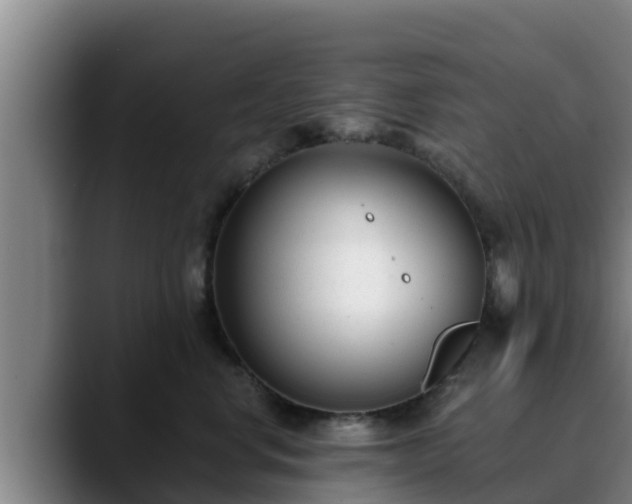 X0000090420668200707201119