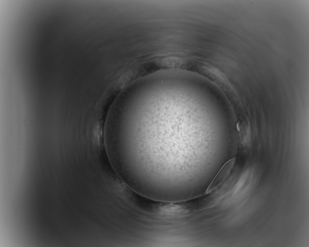 X0000090420669200707201119