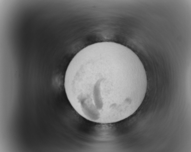 X0000090420672200707201119