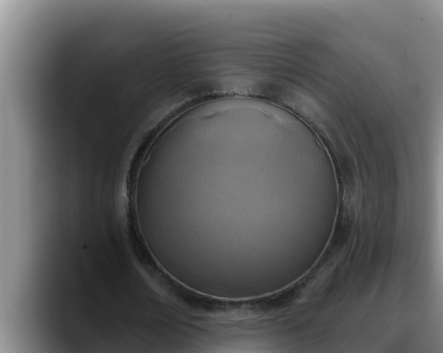 X0000090420674200707201119