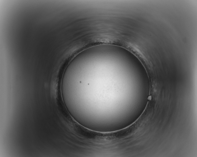 X0000090420679200707201118