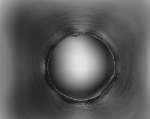 X0000090420685200707201118