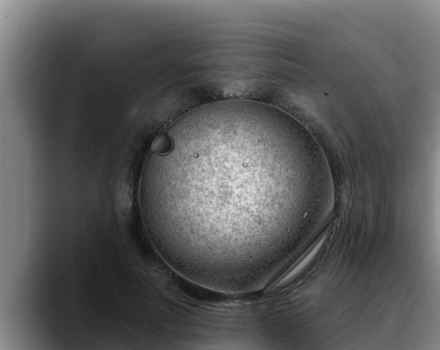 X0000090420691200707201118