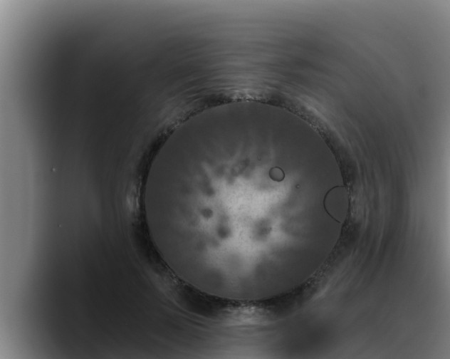 X0000090420695200707201118