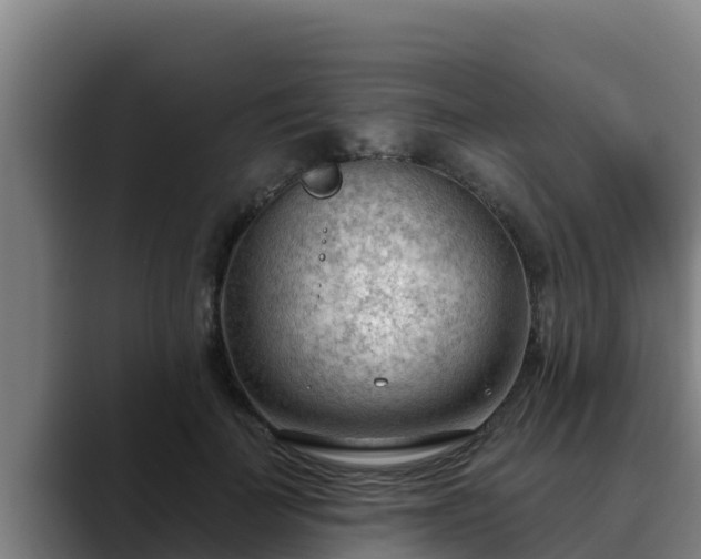 X0000090420699200707201118