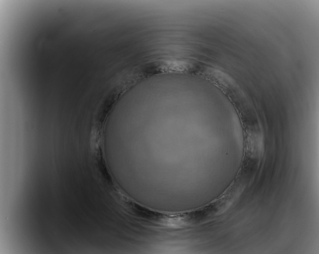 X0000090420701200707201118