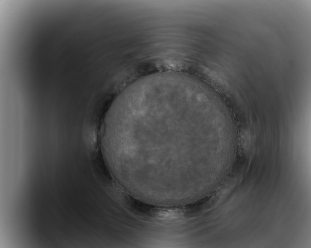 X0000090420709200707201118