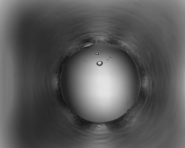 X0000090420715200707201118