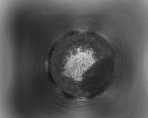 X0000090420720200707201118