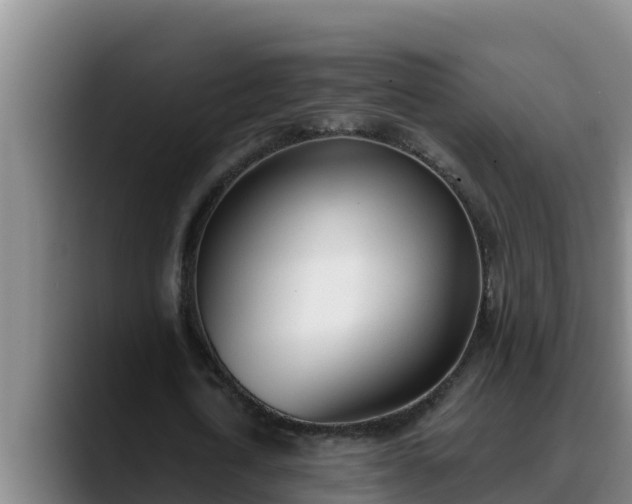 X0000090420722200707201117