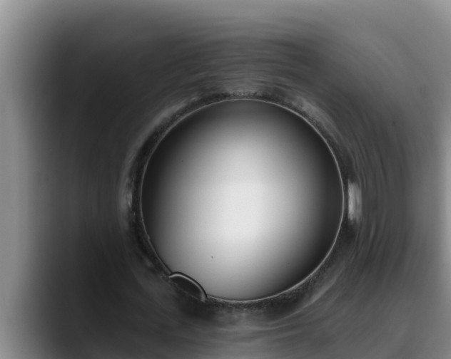 X0000090420723200707201117