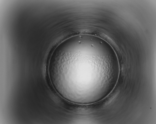 X0000090420725200707201117