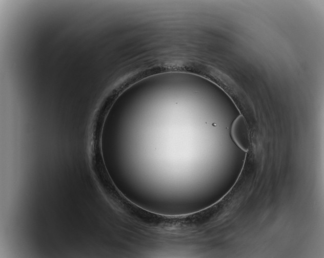 X0000090420728200707201118