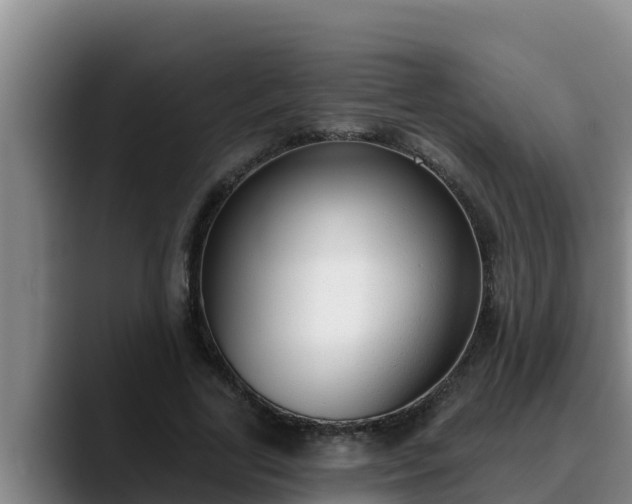 X0000090420731200707201118