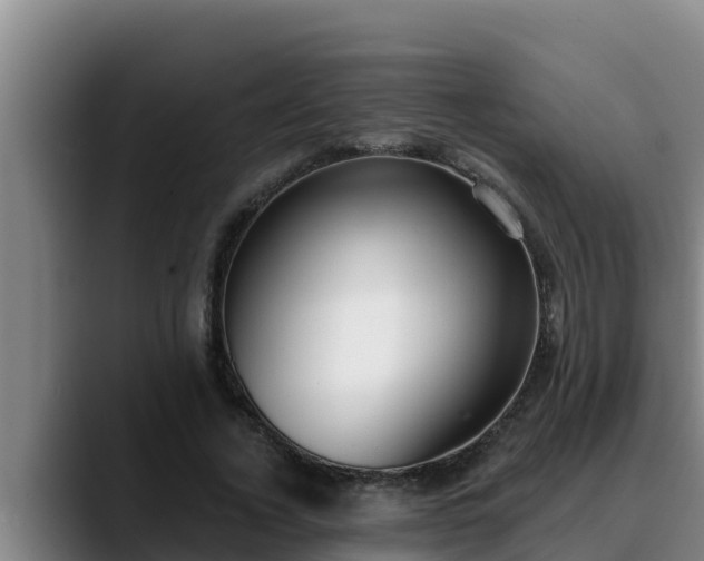 X0000090420732200707201118