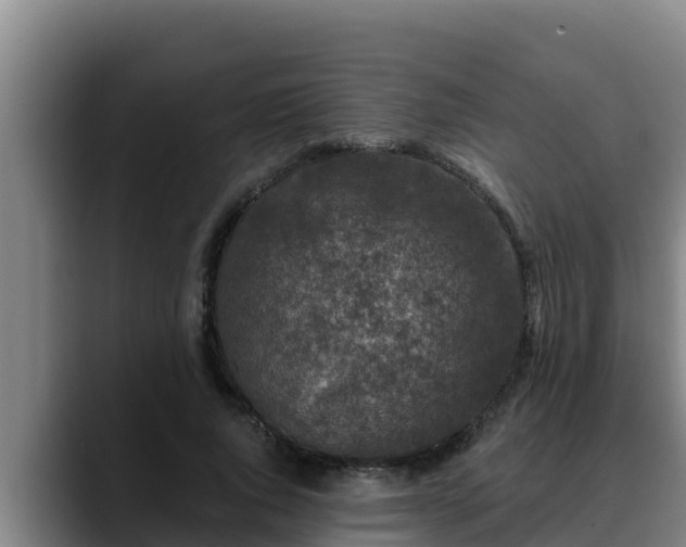 X0000090420736200707201118