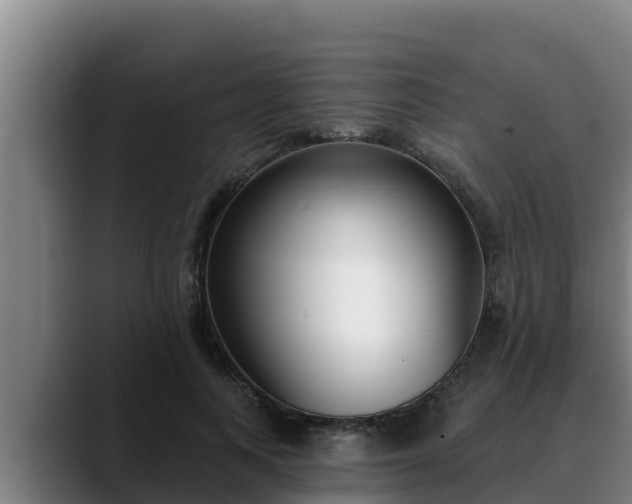 X0000090420743200707201118