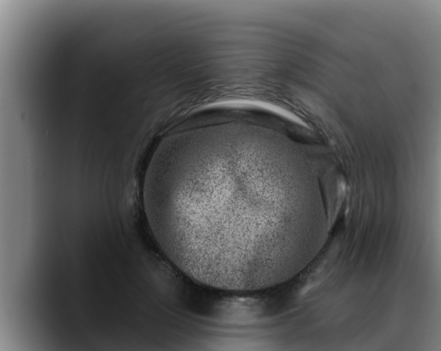 X0000090420748200707201118