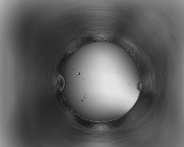 X0000090420749200707201118