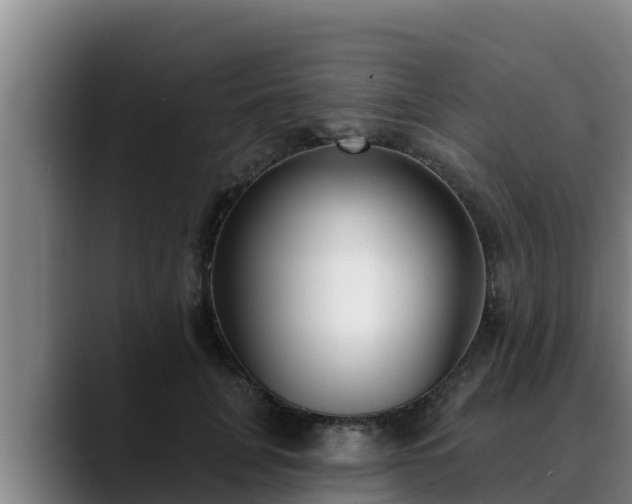 X0000090420751200707201118