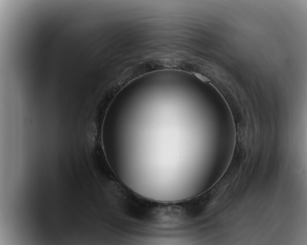 X0000090420752200707201118