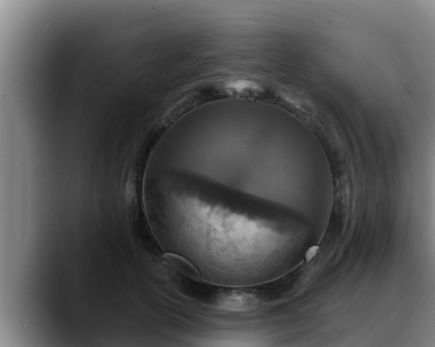 X0000090420754200707201118