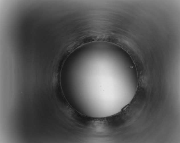 X0000090420756200707201118