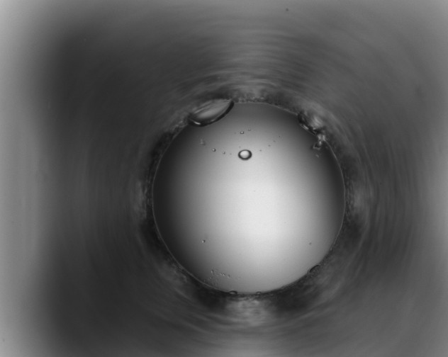 X0000090420759200707201118