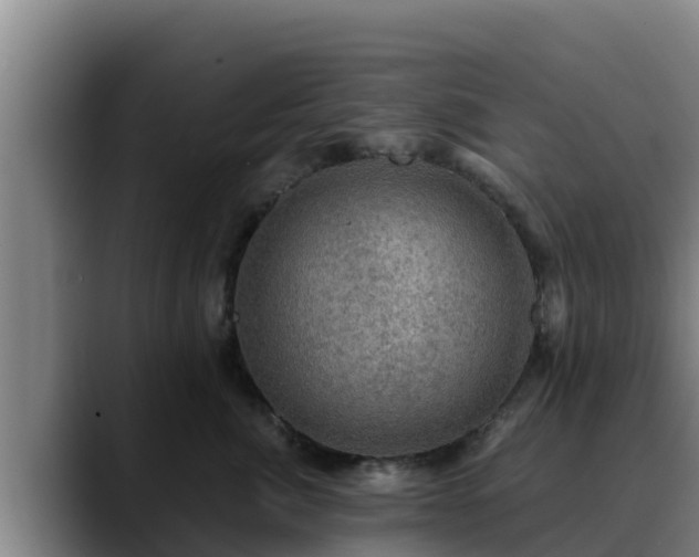 X0000090420764200707201118