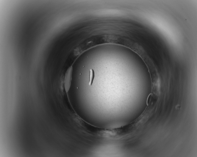 X0000090420765200707201118