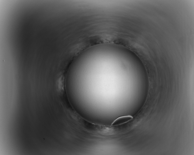 X0000090420768200707201118