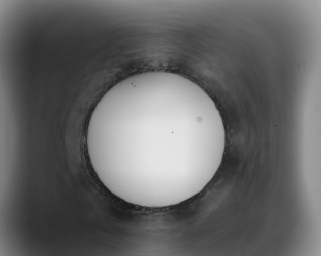 X0000090420769200707201117