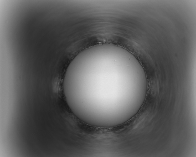 X0000090420770200707201117