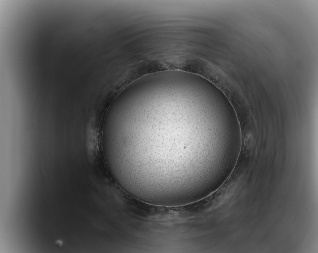 X0000090420772200707201117