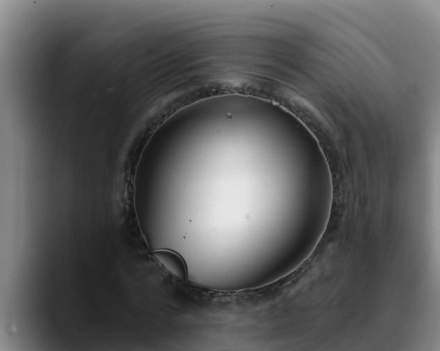 X0000090420776200707201117