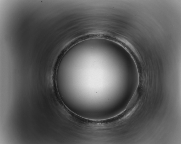 X0000090420783200707201117