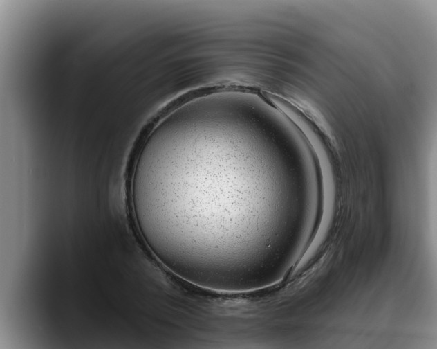 X0000090420784200707201117