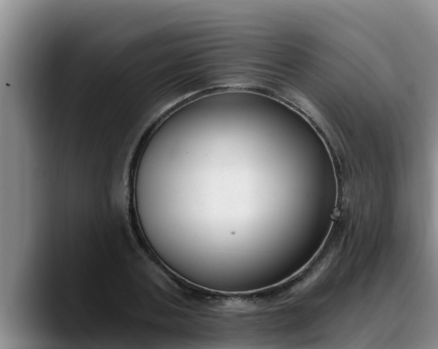 X0000090420787200707201117